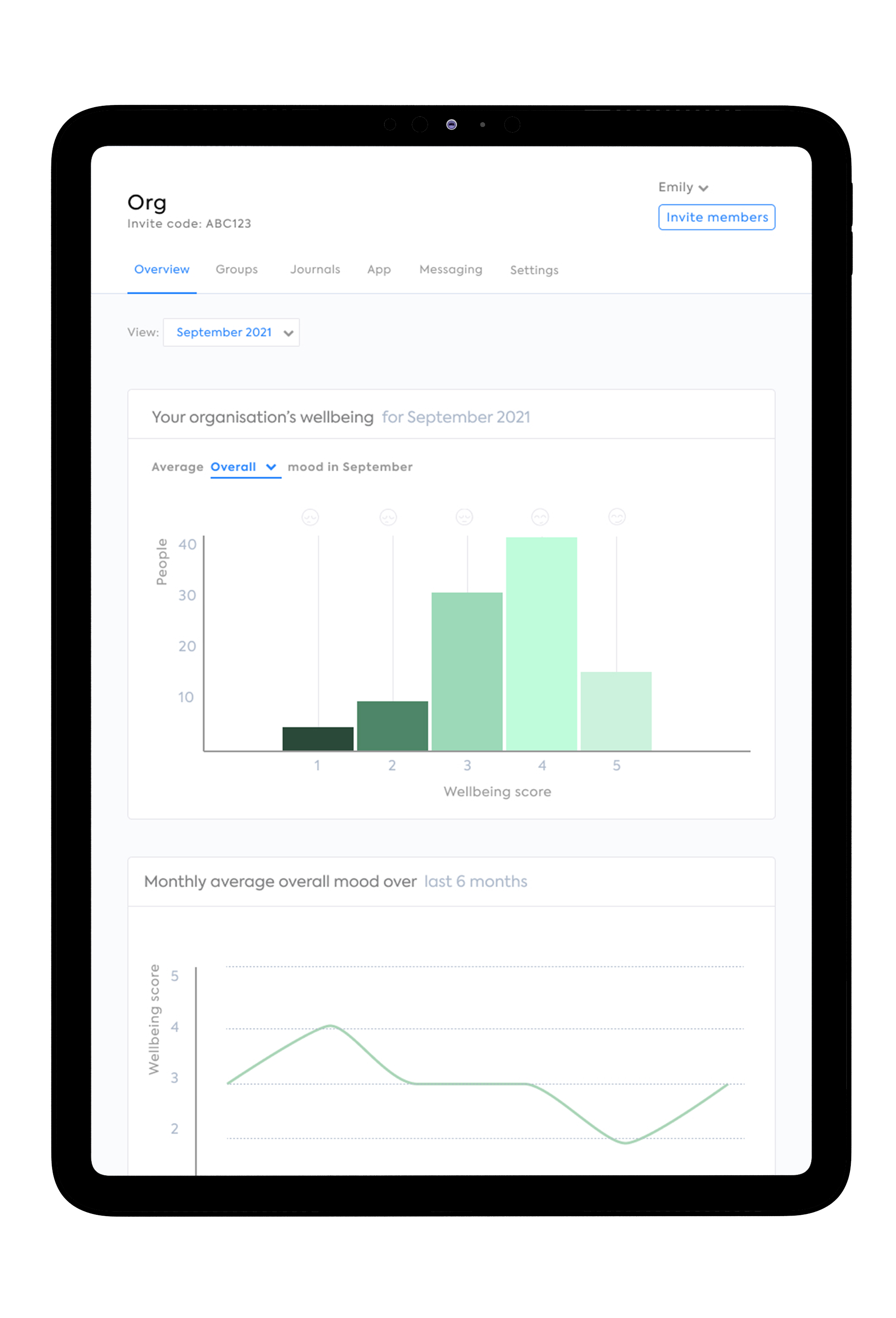 dashboard-ipad