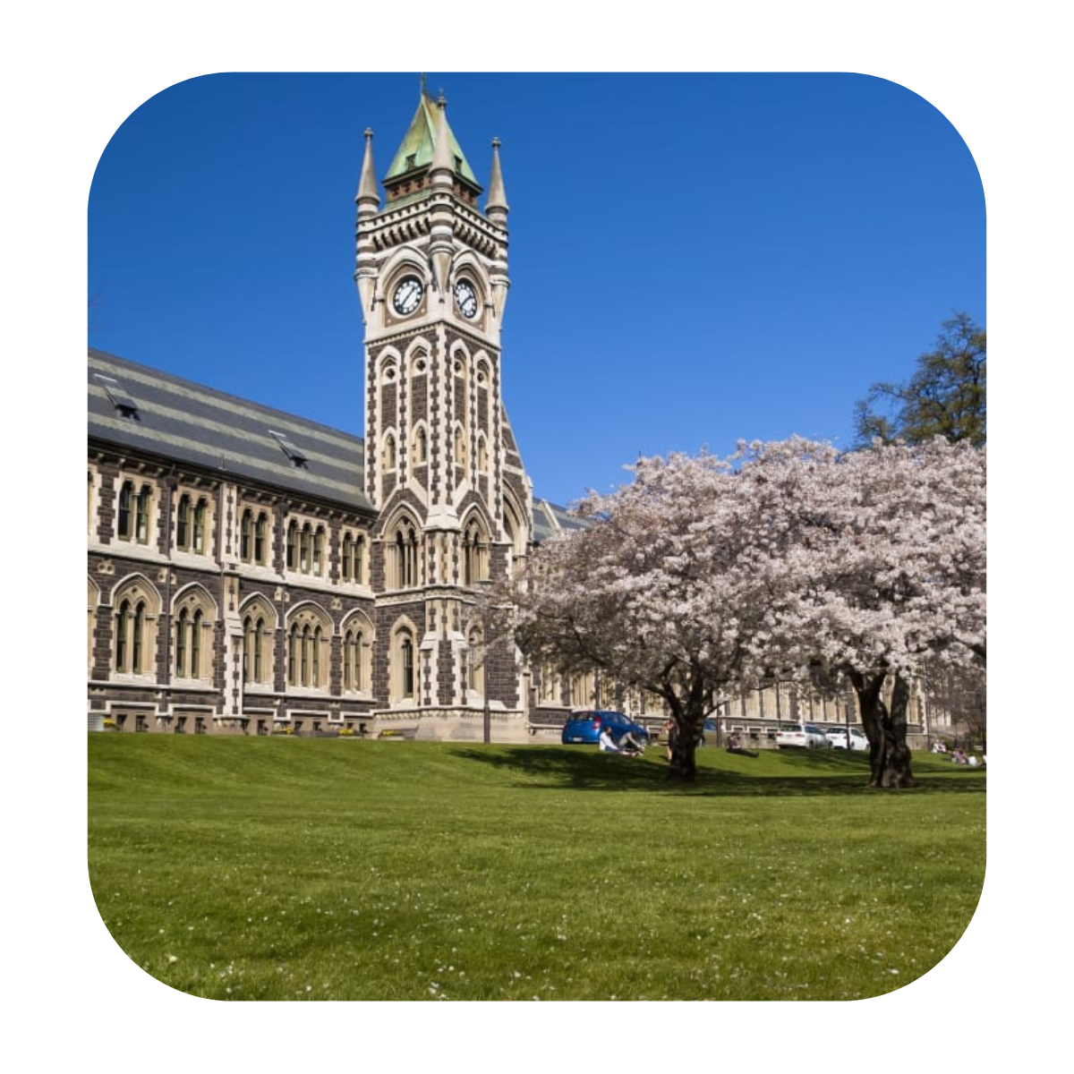 university